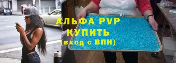 шишки Гусиноозёрск