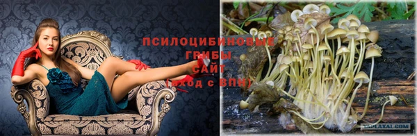 спайс Михайловка