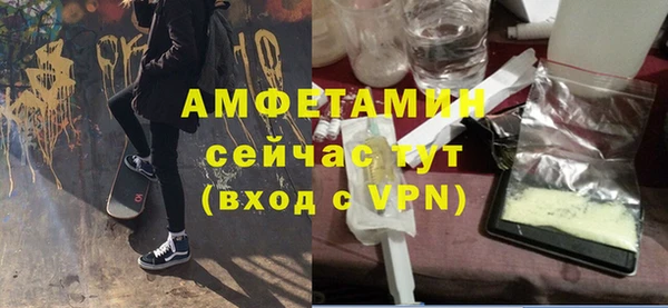 молекула духа Михайловск