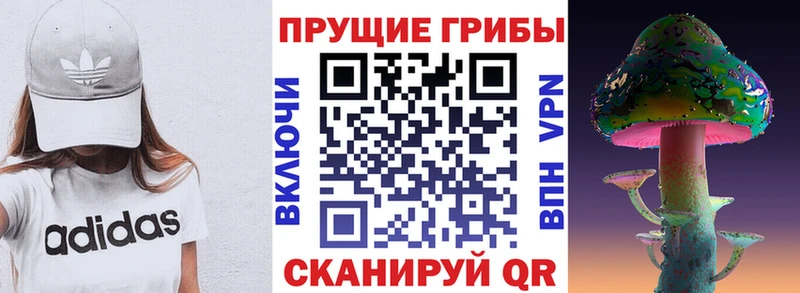 ОМГ ОМГ ONION  Вилюйск  Псилоцибиновые грибы MAGIC MUSHROOMS 